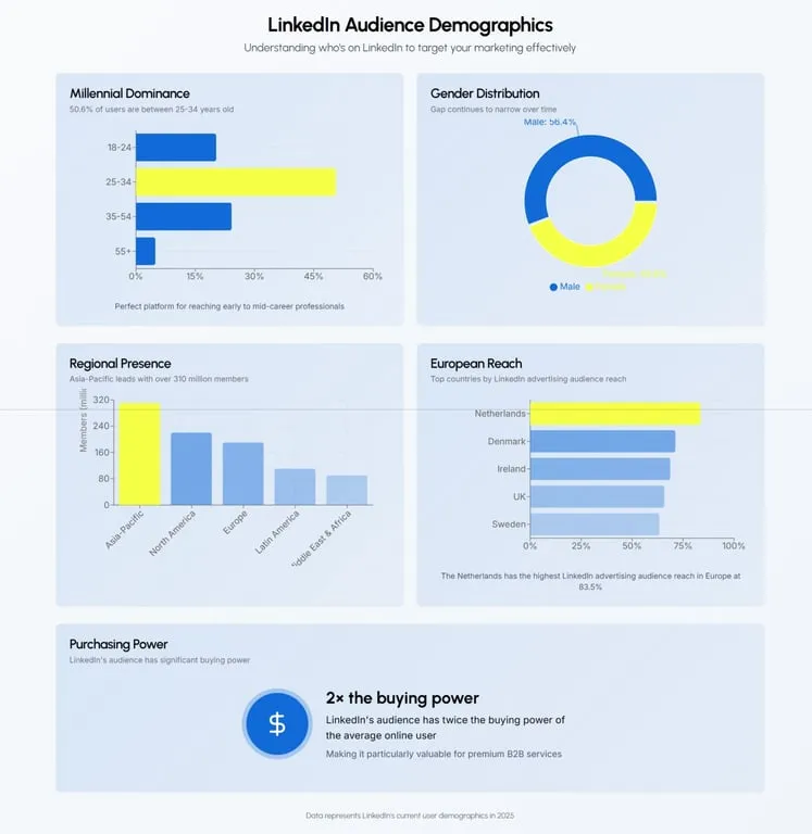Linkedin Audience Demographics