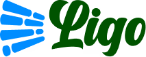 LiGo Logo